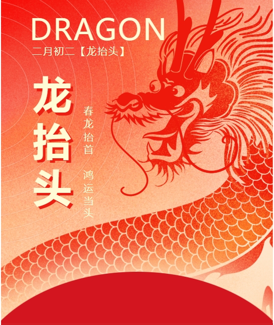 二月二龍?zhí)ь^，春龍振翅鴻運啟 —— 佳木斯網(wǎng)云信息科技有限公司與您共迎新春盛景